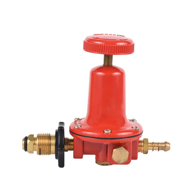 Regolatore Propano Gpl Corpo Ottone Regolatore Vari Modello Standard per Personalizzazione