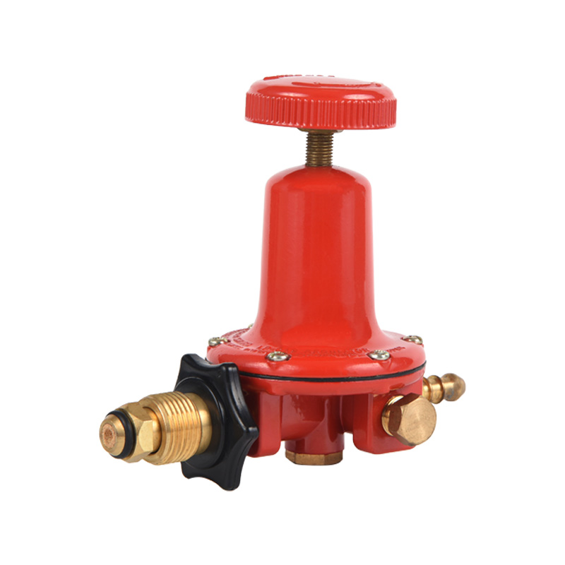 Regolatore Propano Gpl Corpo Ottone Regolatore Vari Modello Standard per Personalizzazione