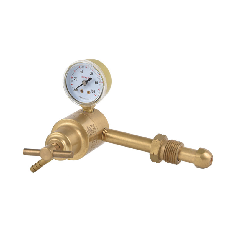 Regolatore Propano Gpl Corpo Ottone Regolatore Vari Modello Standard per Personalizzazione