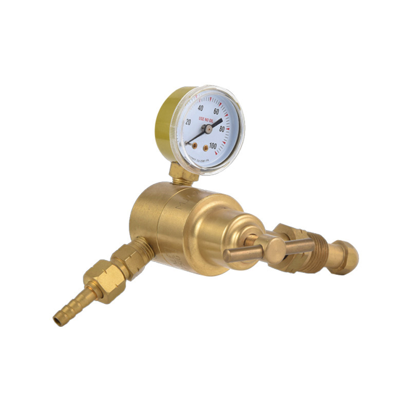 Regolatore Propano Gpl Corpo Ottone Regolatore Vari Modello Standard per Personalizzazione